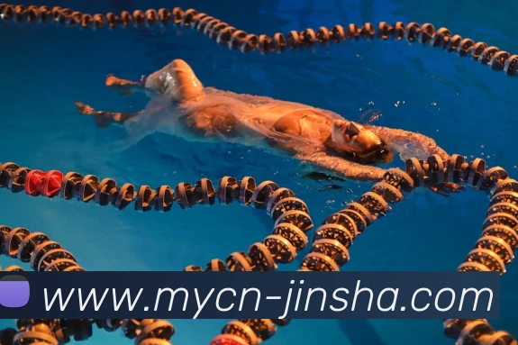 多媒体互动体验